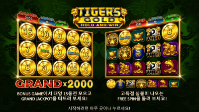 타이거 골드[Tigers Gold]