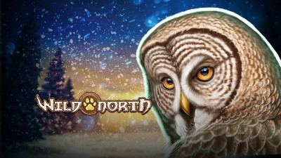 플앤고 와일드 노스
