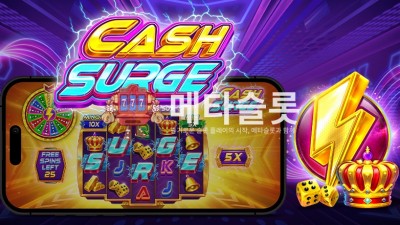 프라그마틱 캐시 서지